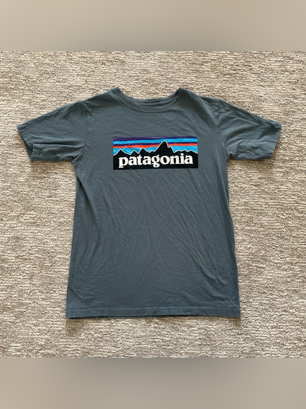 Patagonia T Shirt Youth Large Size 12 Blue Gray Graphic Print Short Sleeve
